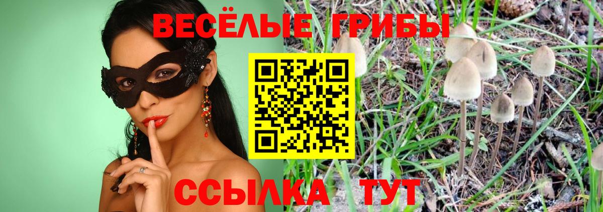 Галлюциногенные грибы MAGIC MUSHROOMS  Вход с VPN  Кубинка 